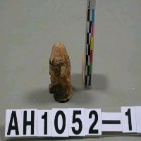 藏品(小鎗彈)的圖片